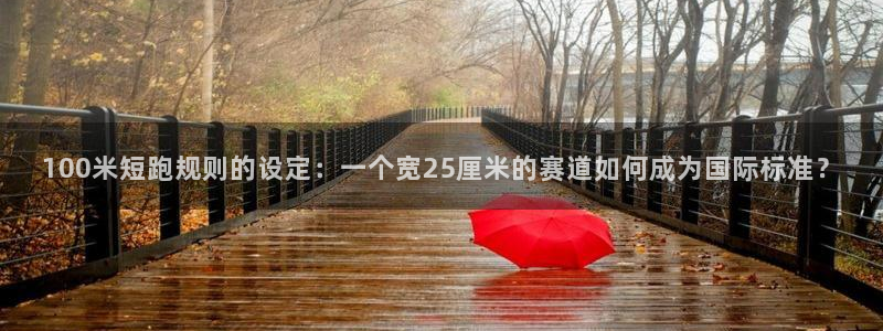 九球体育苹果版下载