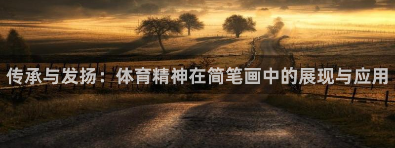 九球体育app官方版下载：传承与发扬：体育精神在简笔画中的展现与应用