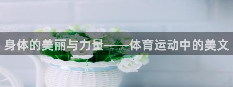 九球体育苹果版下载