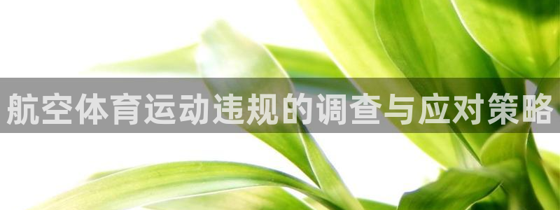 九球体育赛事直播：航空体育运动违规的调查与应对策略