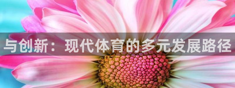 九球体育苹果版下载：与创新：现代体育的多元发展路径