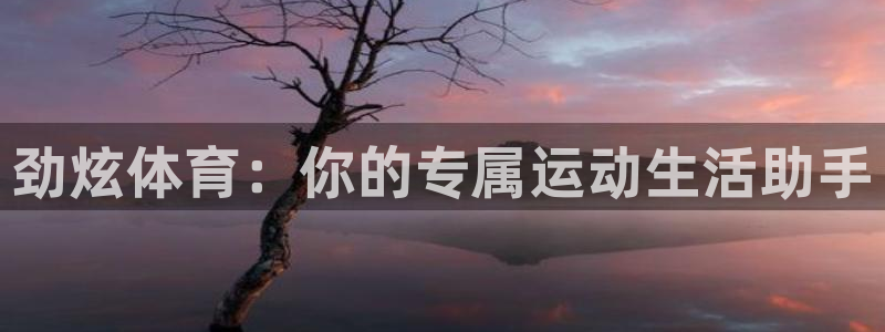 九球体育英超直播免费观看