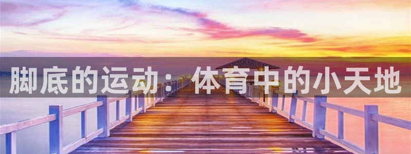 九球体育赛事直播：脚底的运动：体育中的小天地