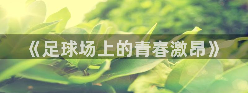 九球体育官网：《足球场上的青春激昂》